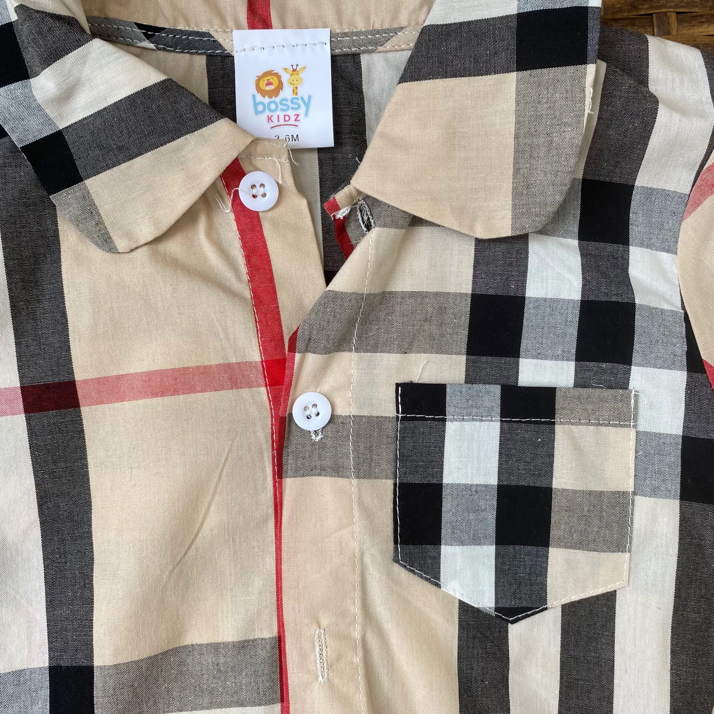 EF1EFA7E-7250-454D-B6ED-96A3F4193C23