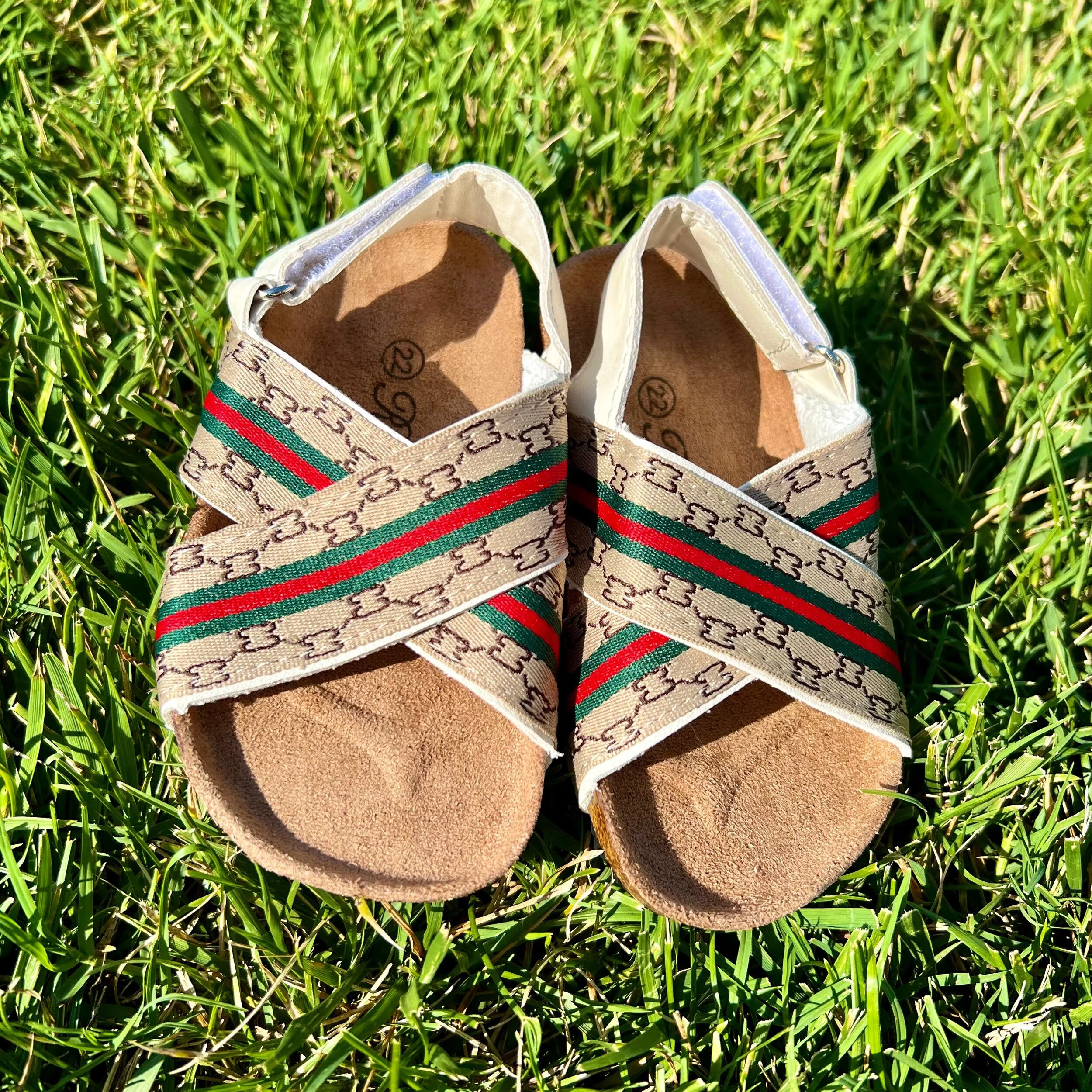 5A81333E-CB75-4ADB-AE9A-EC439DFE56C6