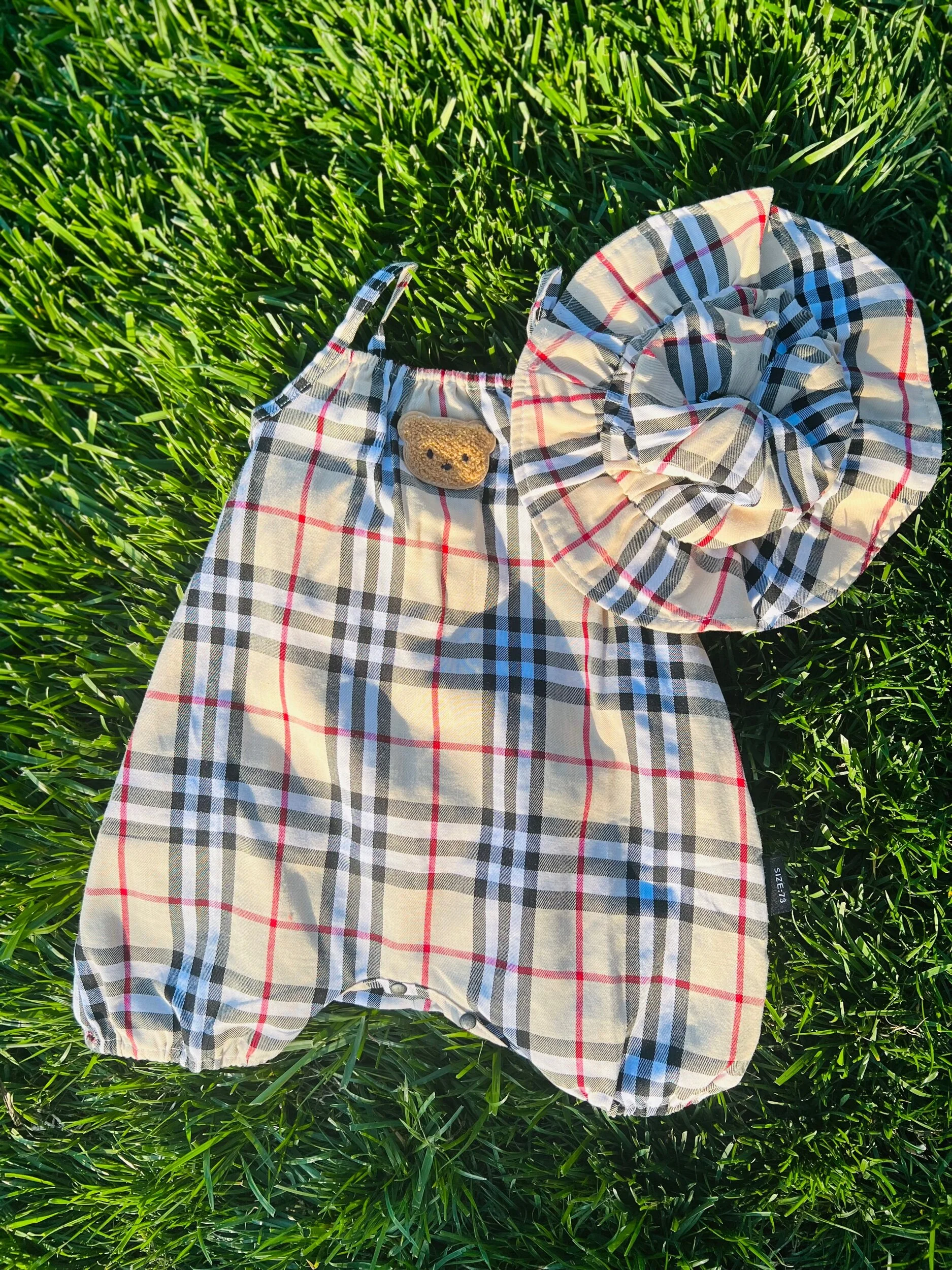 211E1068-8666-4B41-8F3D-4DA5BF8AC654