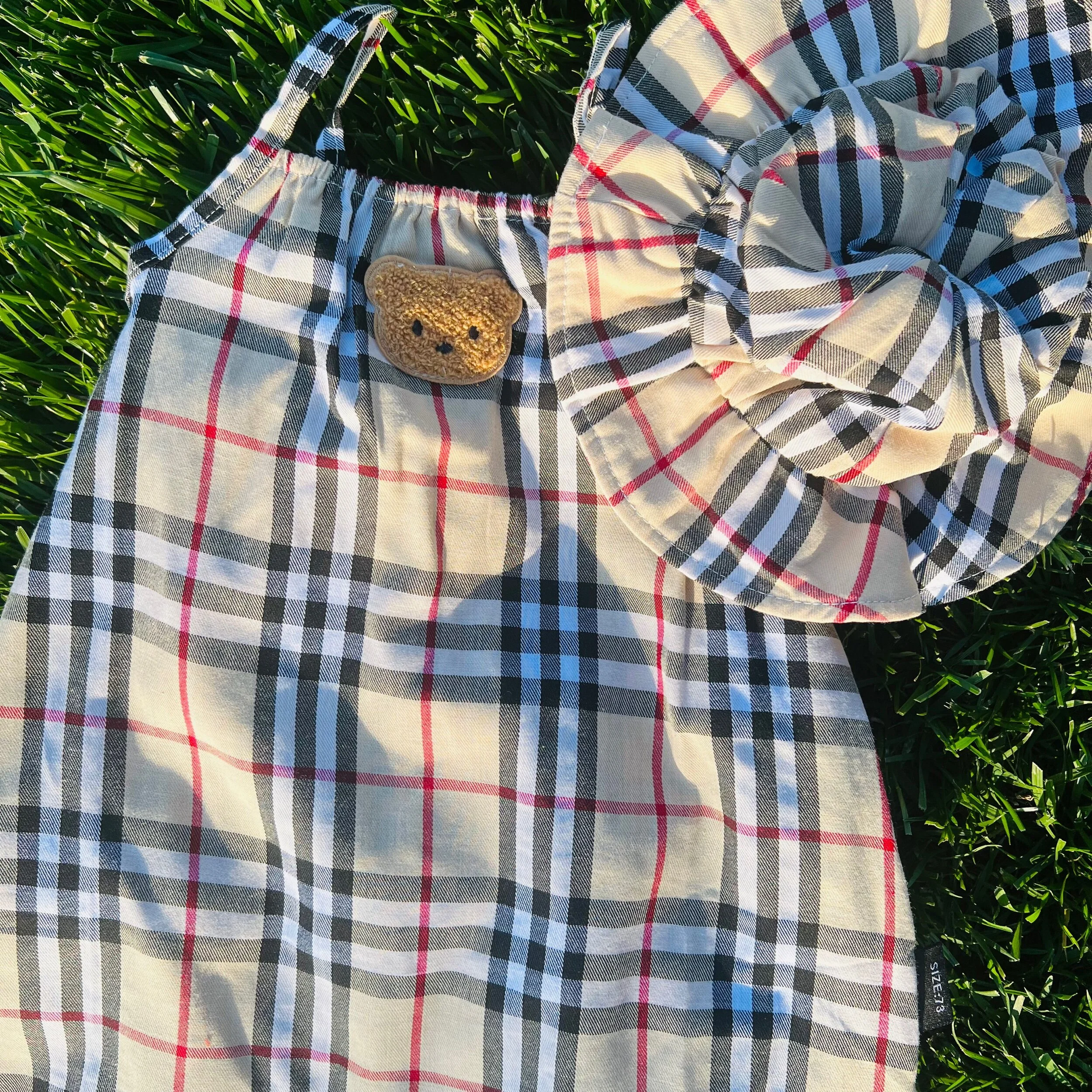 120FDC63-EFF0-4EB8-9E7C-D8BD9069D62D