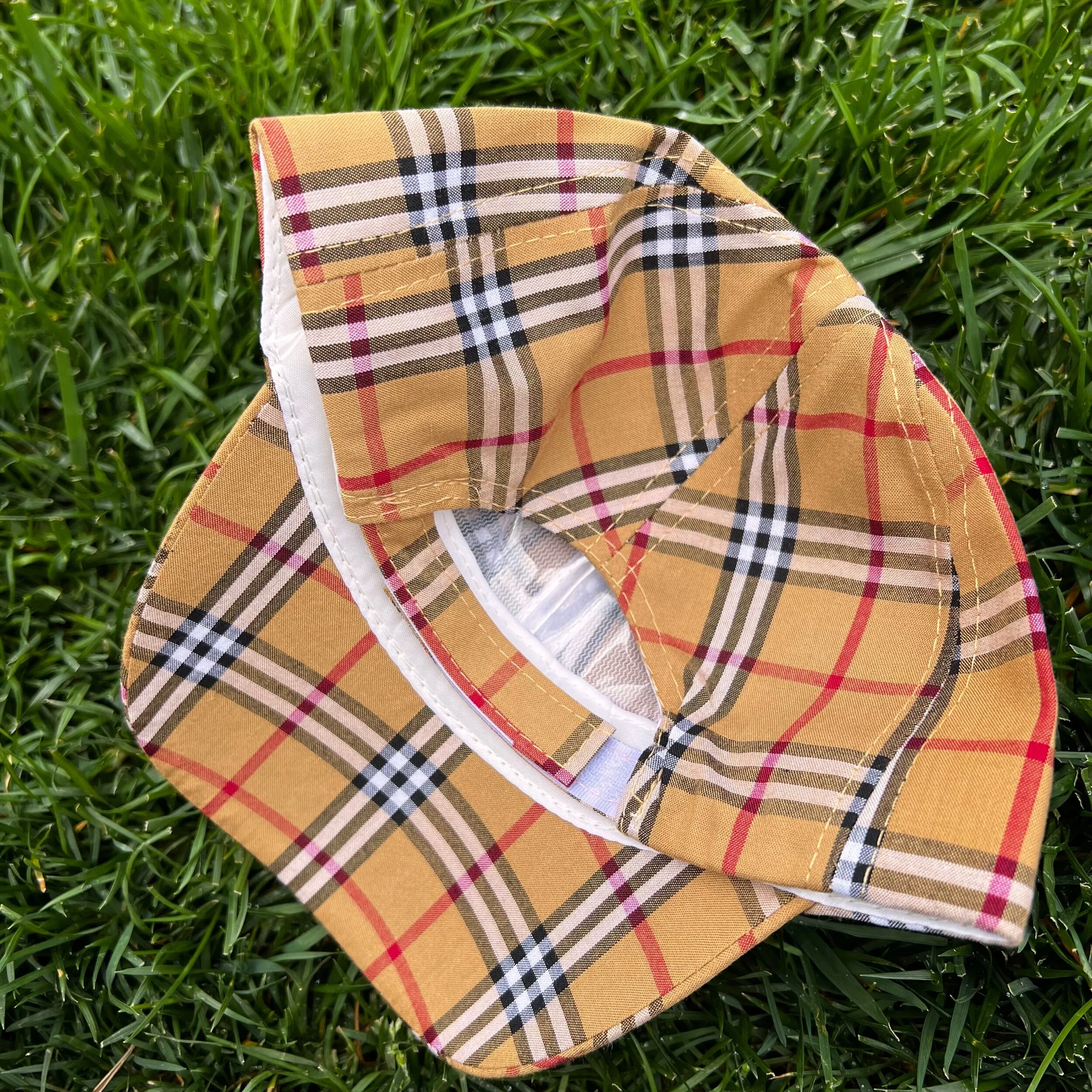 A311102B-CE23-4FC2-9456-130C931596E4