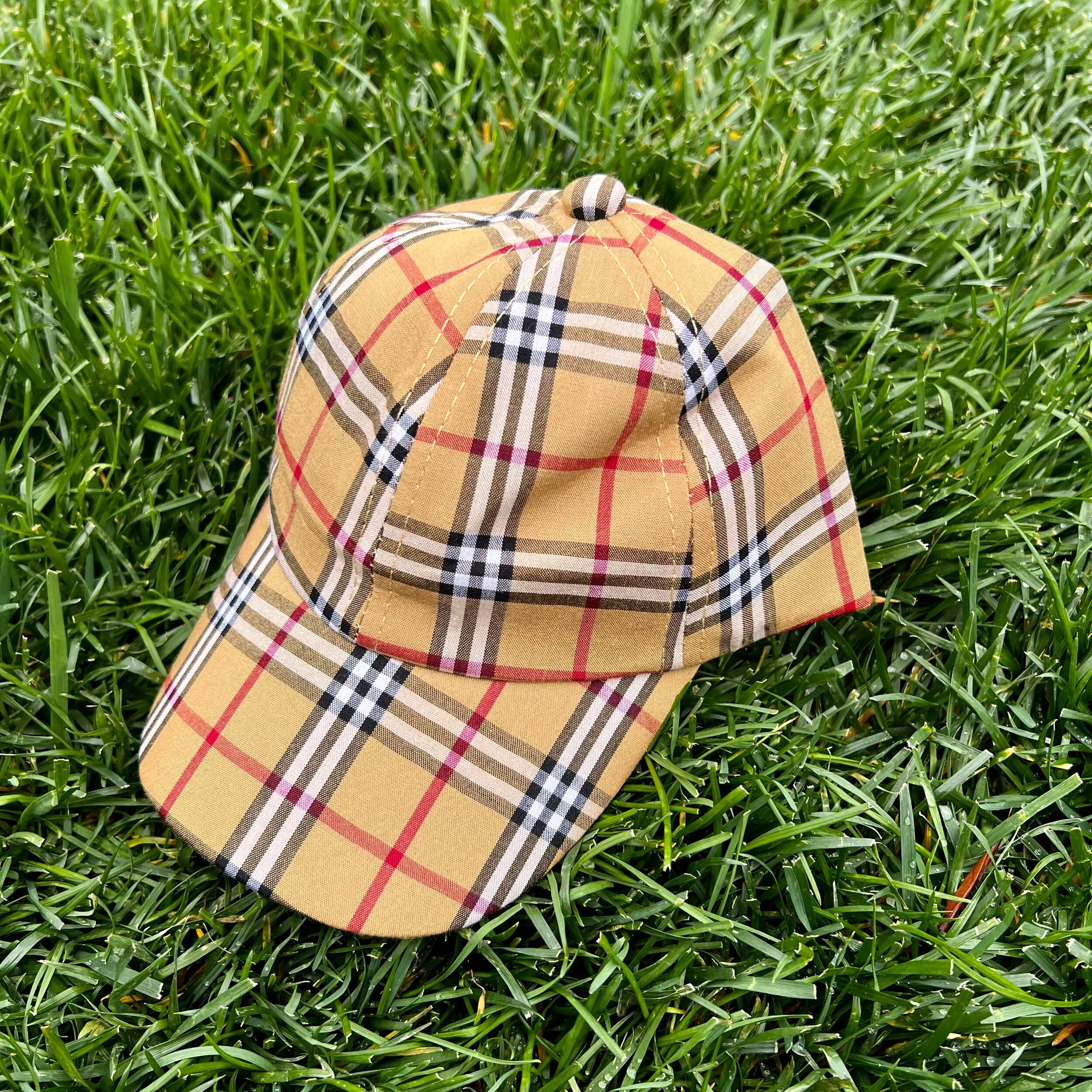 86A1C12C-0646-4A5E-85EA-A7DCB16BA9F3