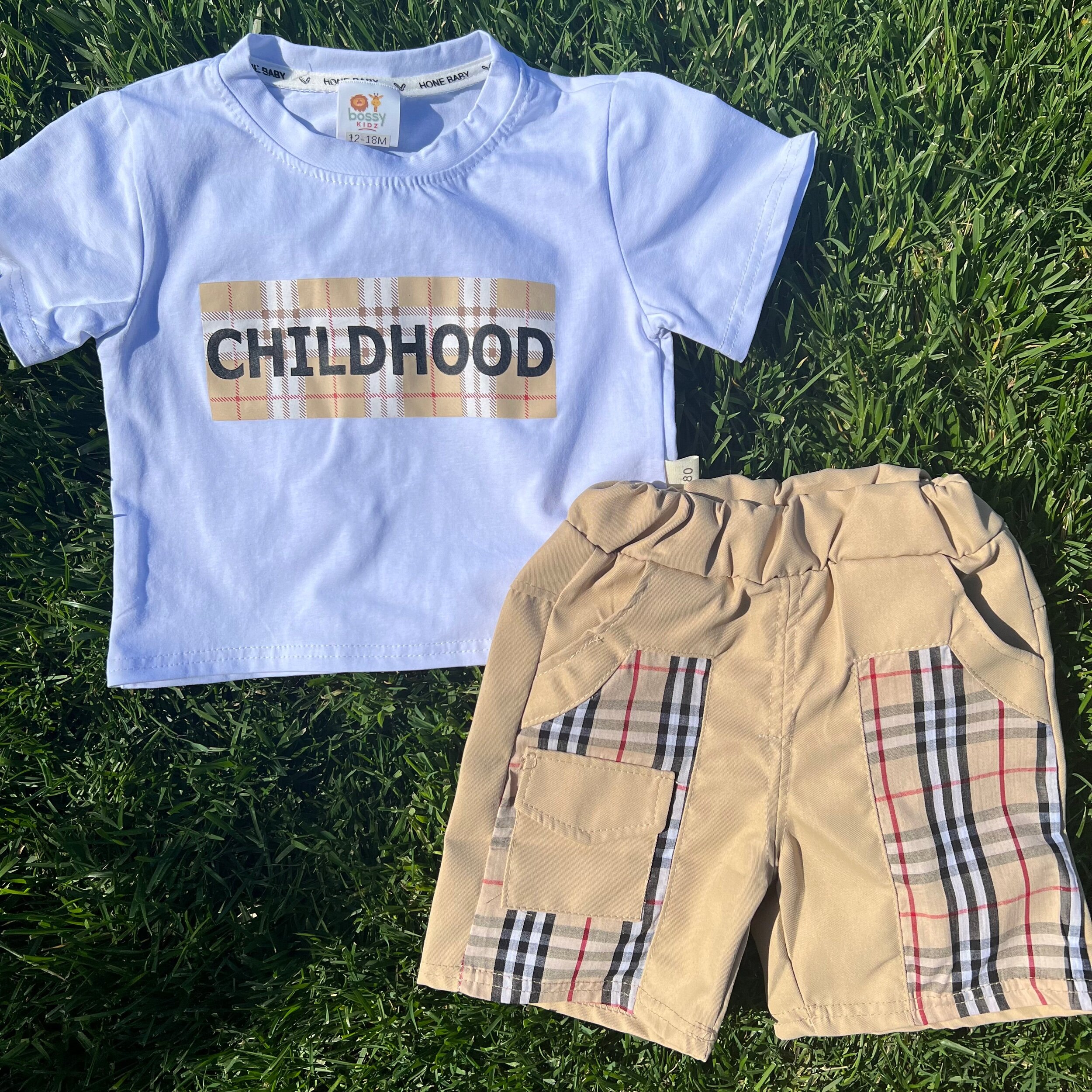 911198C3-7F16-4C6A-83AA-3D046179C7C8