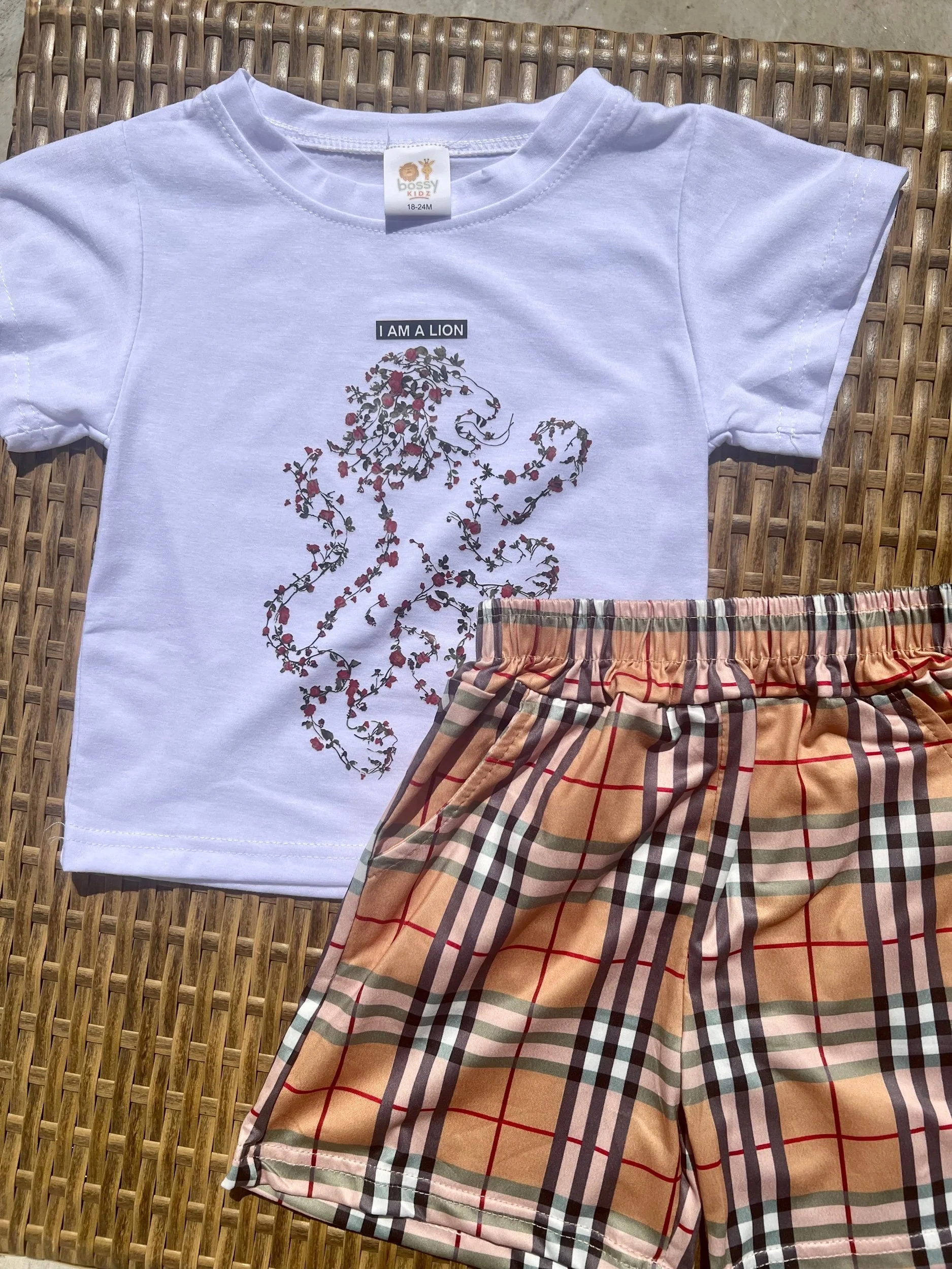 6F633A00-90DA-4242-8AA2-80A91E2C4E34