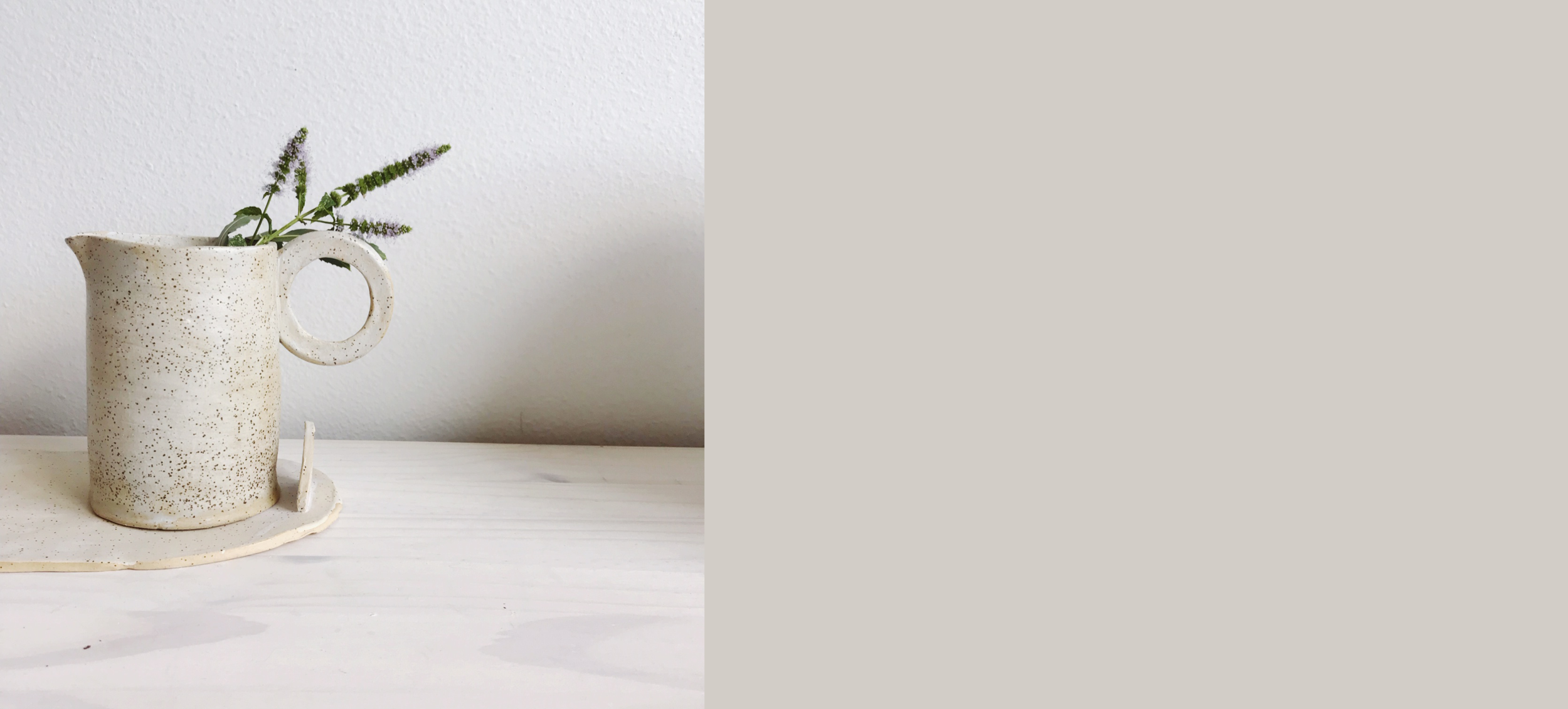 web banner 1.png