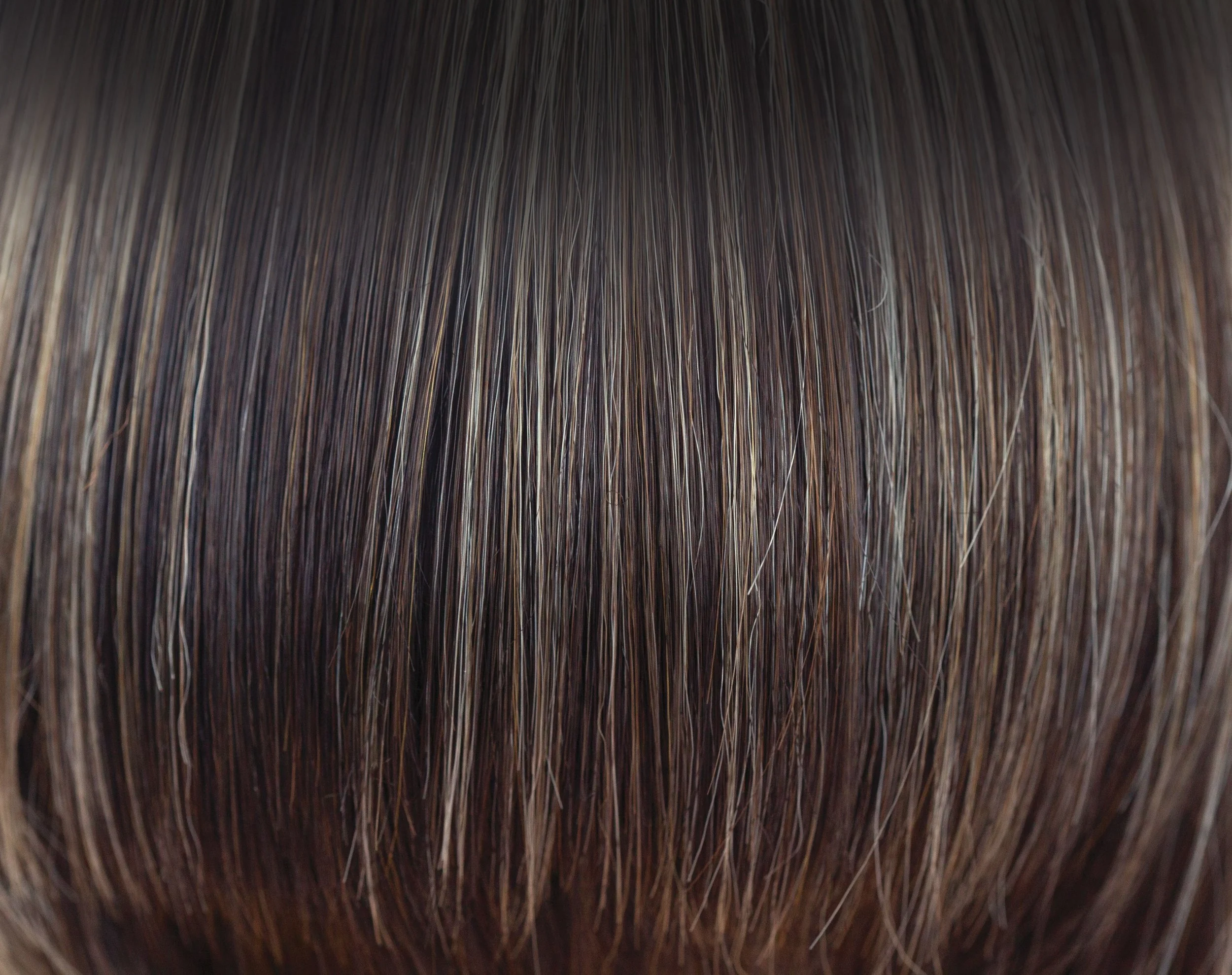 CHOCOLATE FROST R | Dark Brown Base with Honey Blonde and Platinum highlights with Dark Brown roots