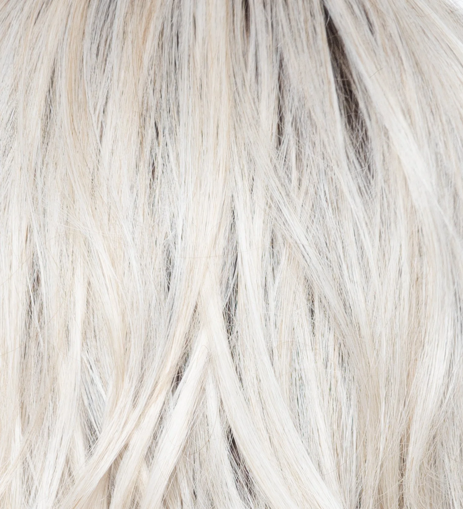 WHITE ROSE BLOND R 