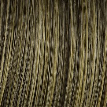 BROWN-BLONDE | Medium to Light Brown with Salon Highlights        
