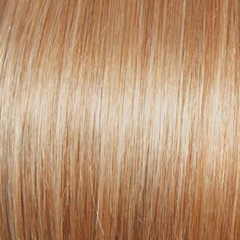 GF14-88 GOLDEN WHEAT | Dark Blonde Evenly Blended with Pale Blonde Highlights 