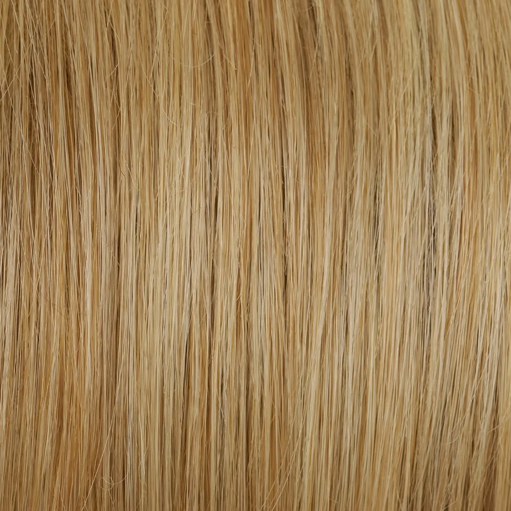 24B22 CREME BRULEE | Light Gold Blonde &amp; Light Ash Blonde Blend