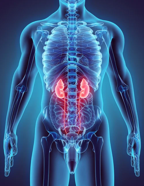 Endocrine Specialist Centre