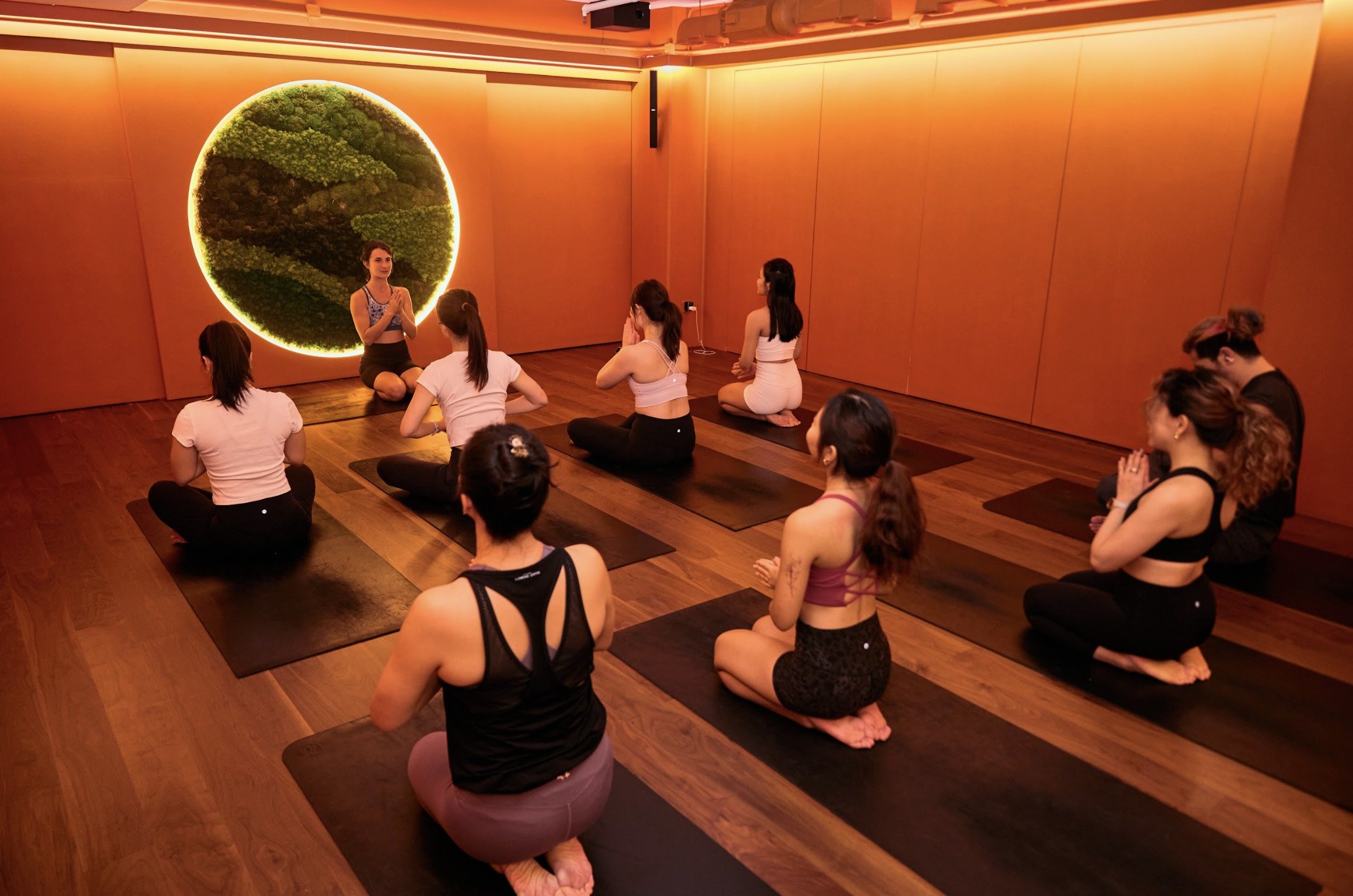 Screenshot 2026-02-23 at 5.36.16 PM.jpg