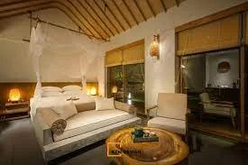images-1.jpg