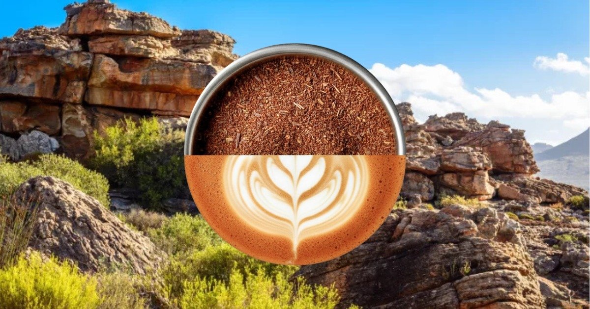 Rooibos Espresso drink included with IKIGAI Unplugged ticket