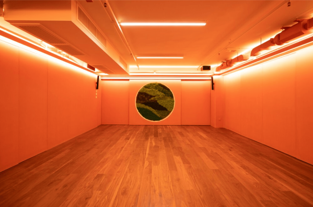 IKIGAI Causeway Bay Studio
