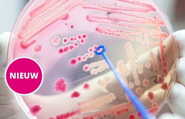 BRMO in de thuiszorg