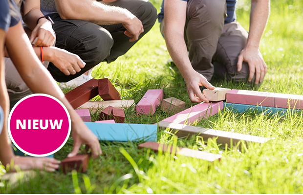 Samen bouwen (Teambuilding & Samenwerken)