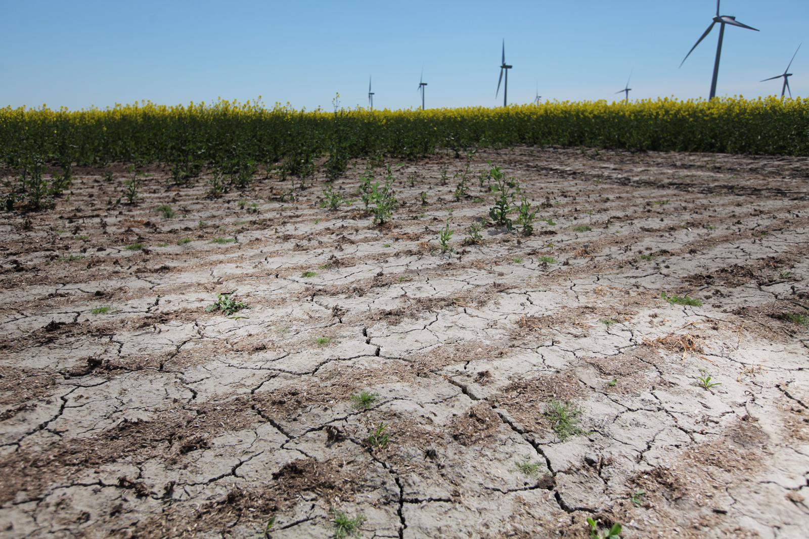 Floods and droughts will become more common.