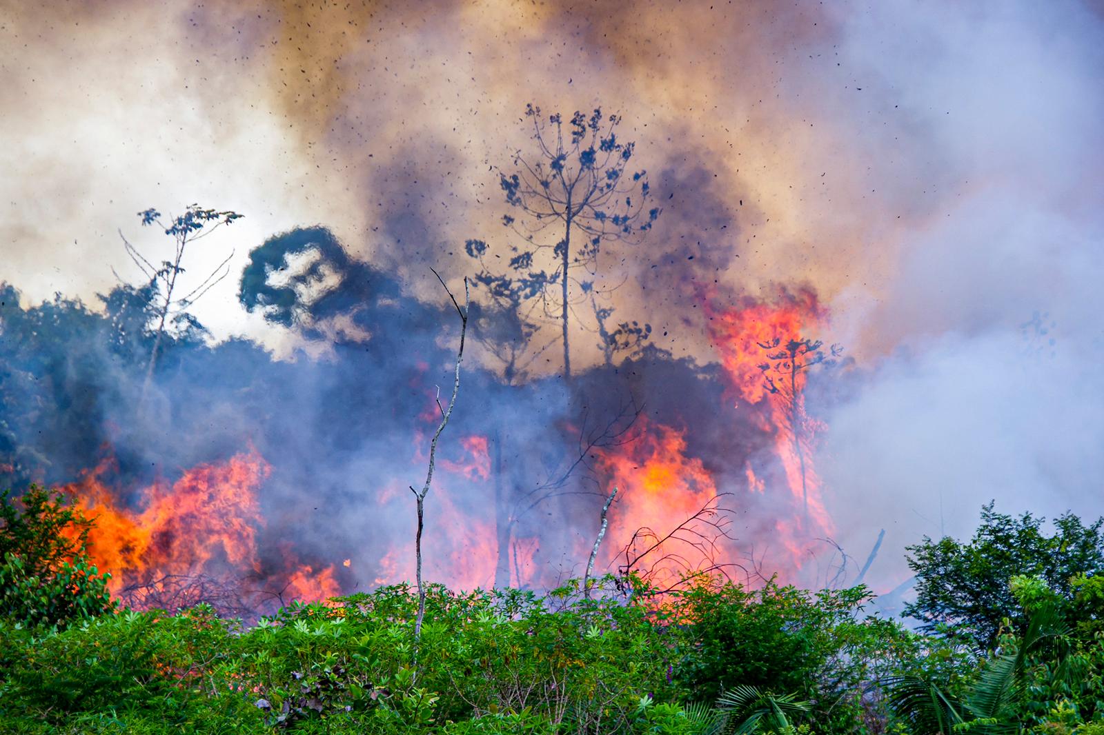 Extreme weather, food supply disruptions, and increased wildfires
