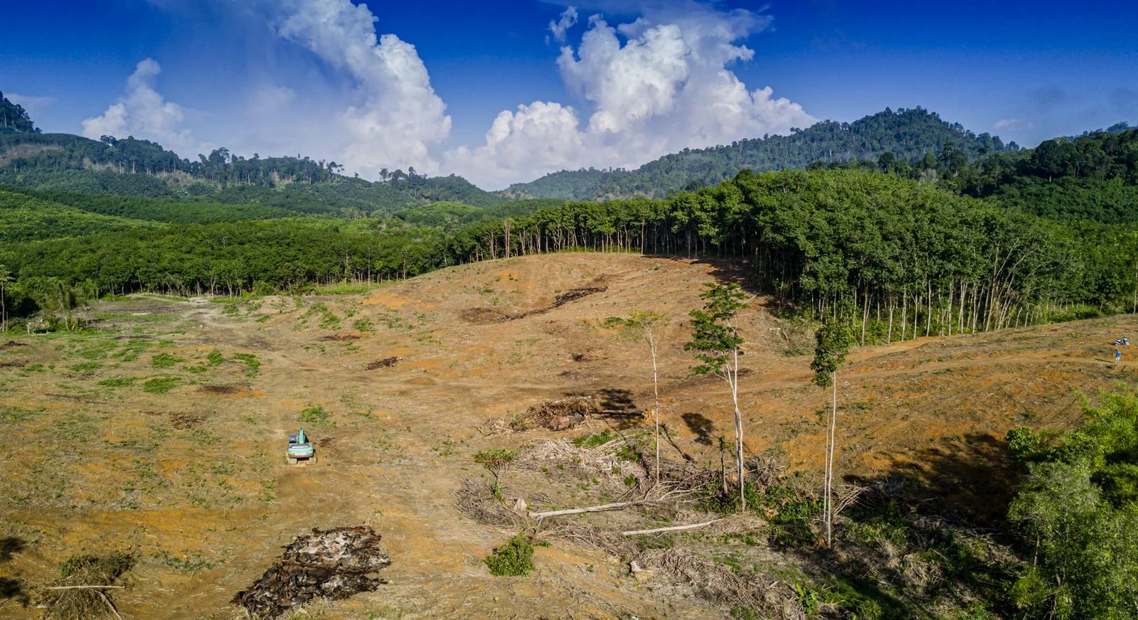 How to erase 100 years of carbon emissions?