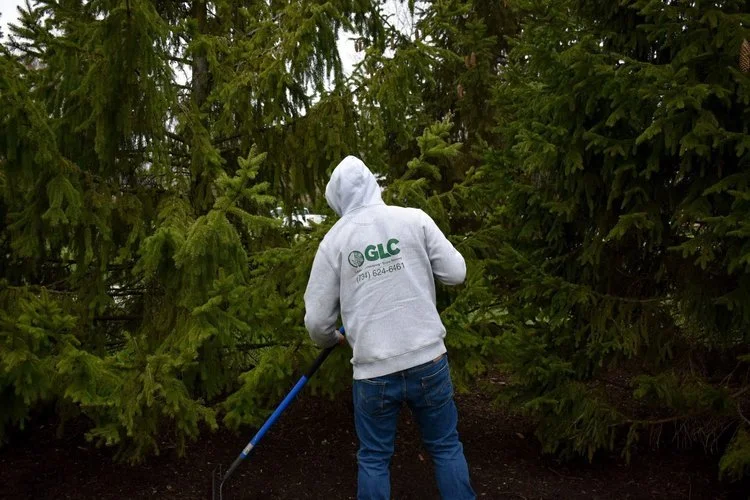 5 Commercial Landscaping Services to Fit the Needs of Any Business in the Wayne County and Monroe County, MI, Areas