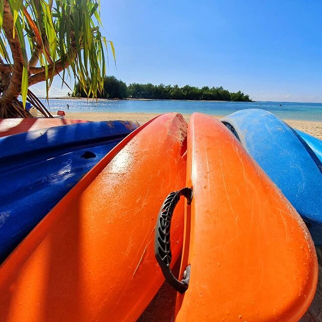 No filter needed...what is your favourite colour?
#kayaking #motuexploring