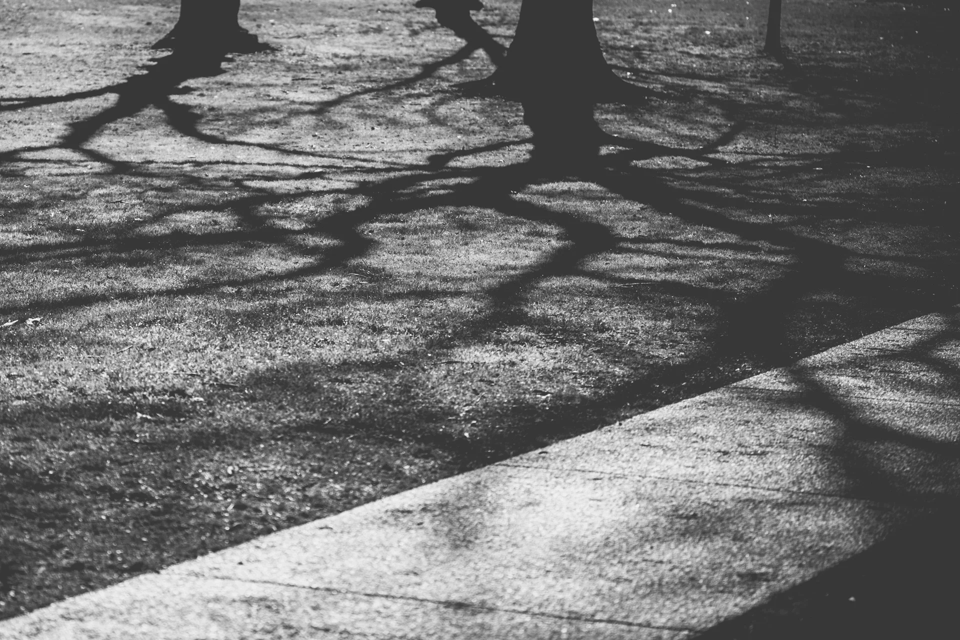 timo_beier_photography_washington_dc_0755.jpg