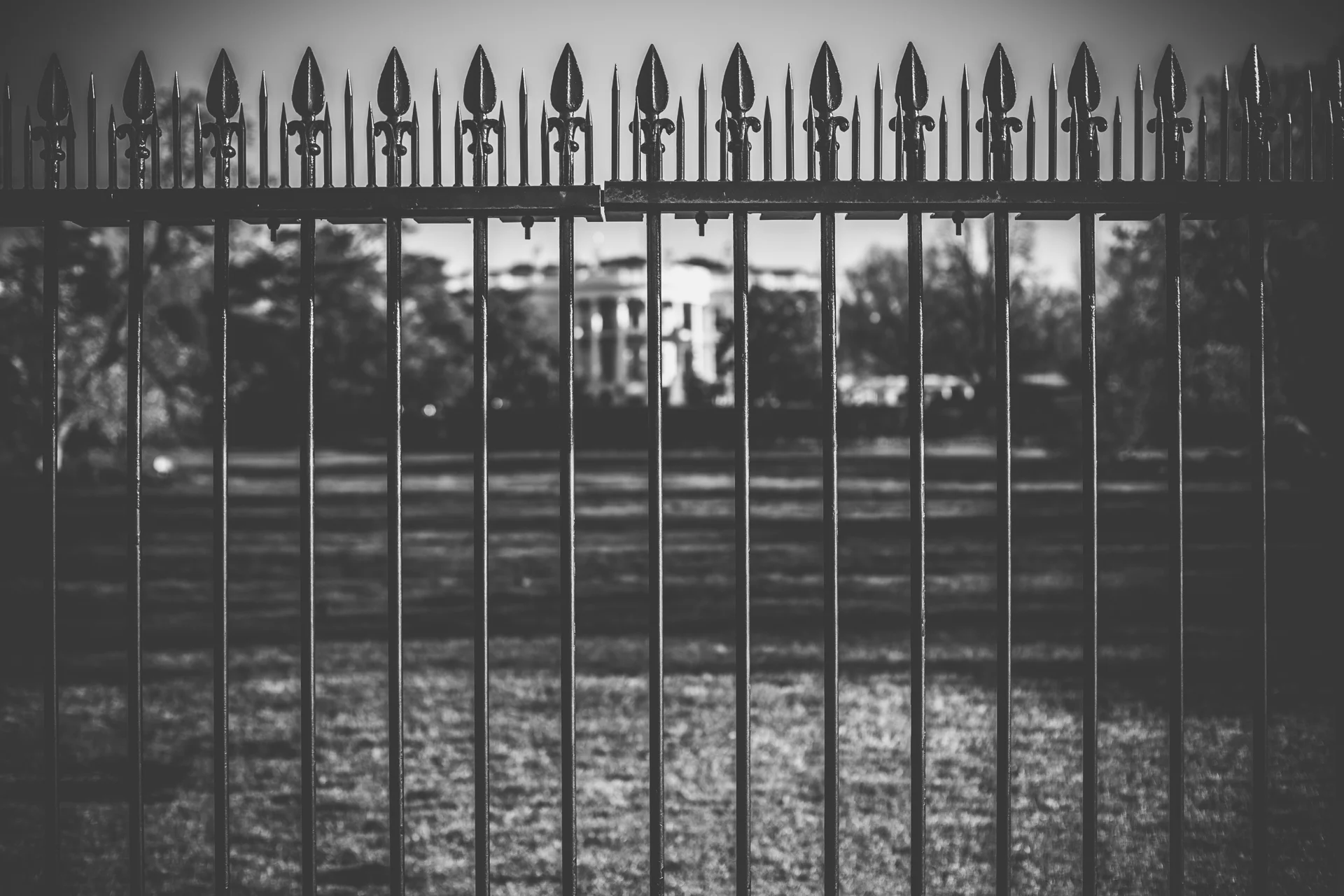 timo_beier_photography_washington_dc_0010.jpg