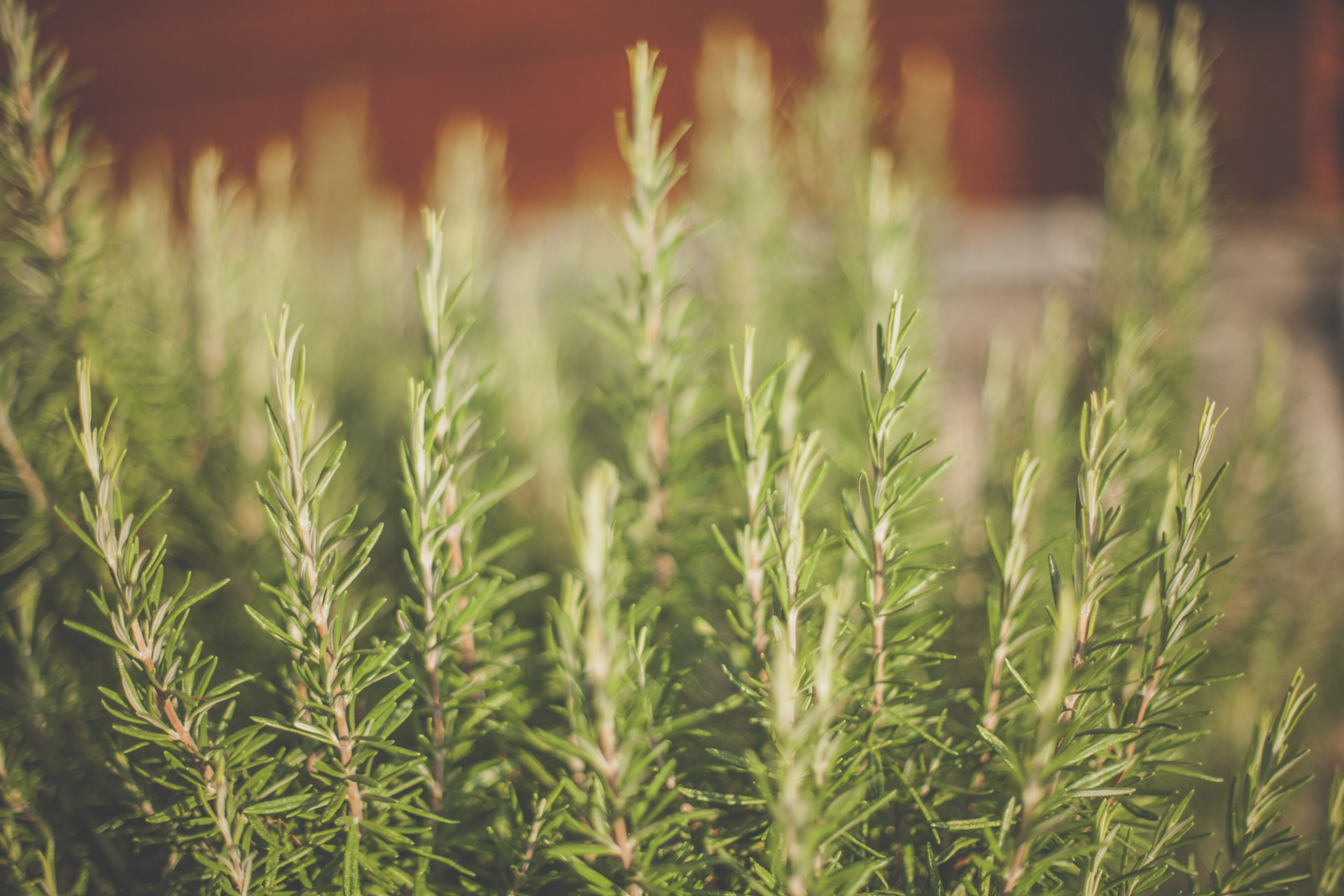 timo_beier_photography_greece_3184.jpg