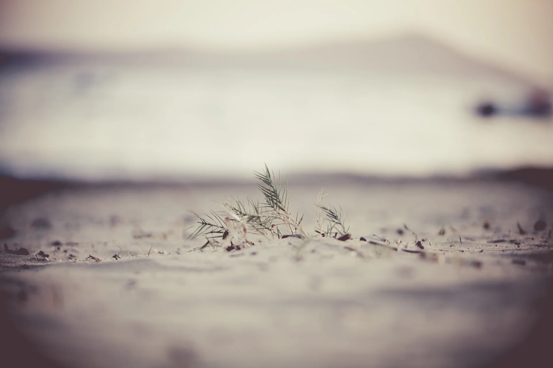 timo_beier_photography_greece_8935.jpg