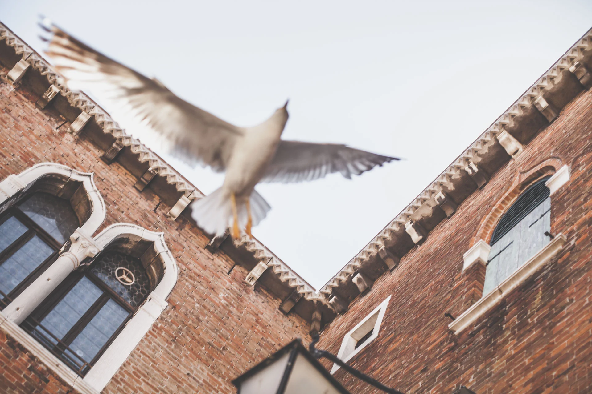 timo_beier_photography_venice_7742.jpg