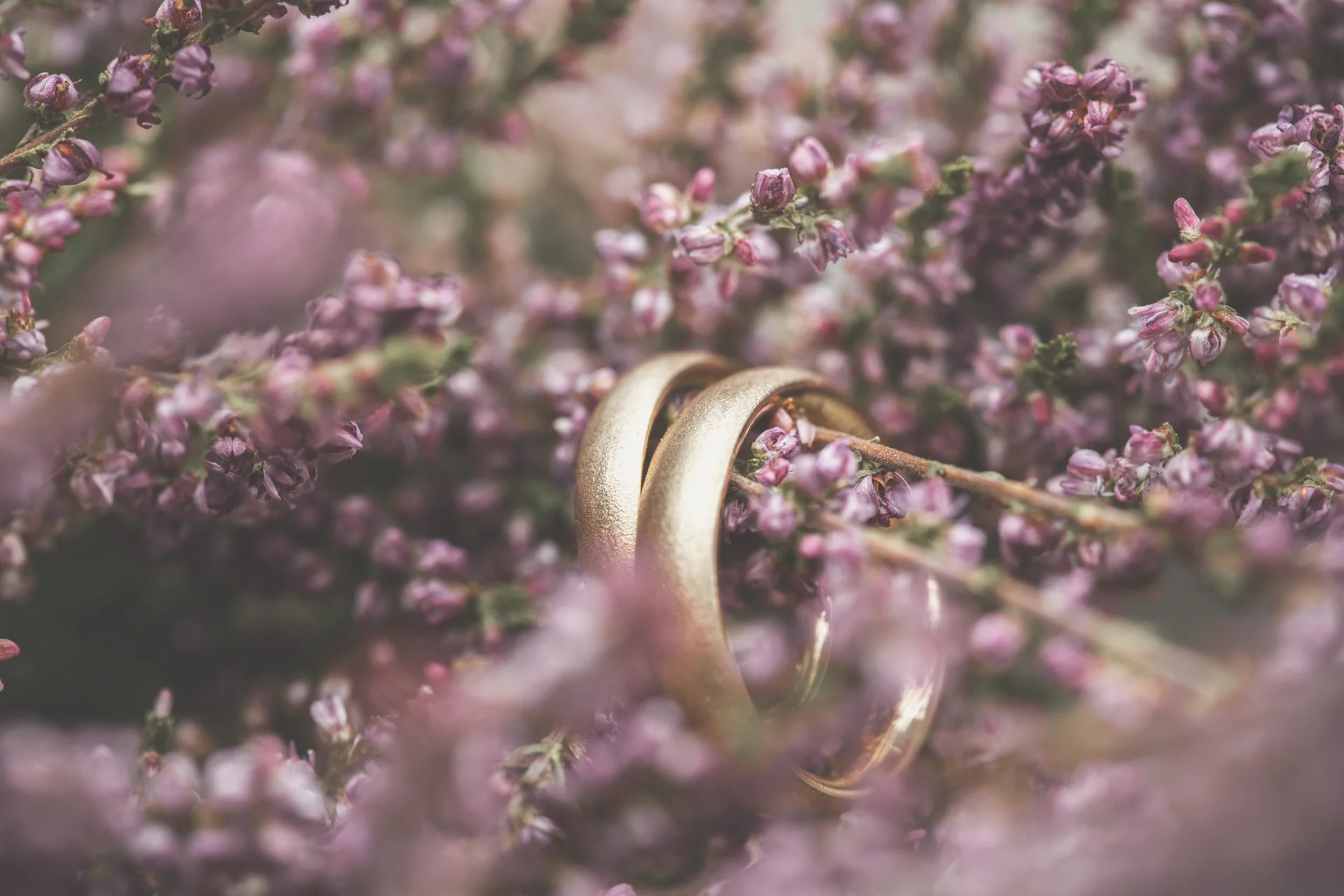 wedding_henrike_fabian-383.jpg