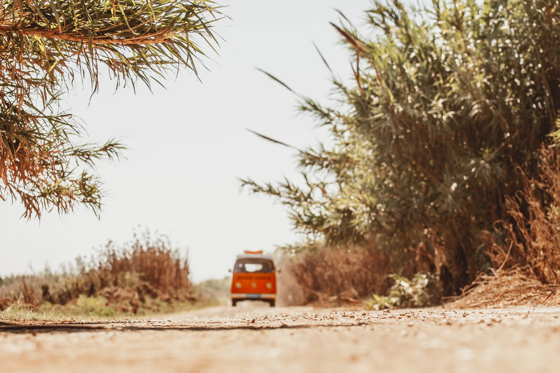 save_your_vw_trip_sweetnorth.de_0405-Bearbeitet.jpg