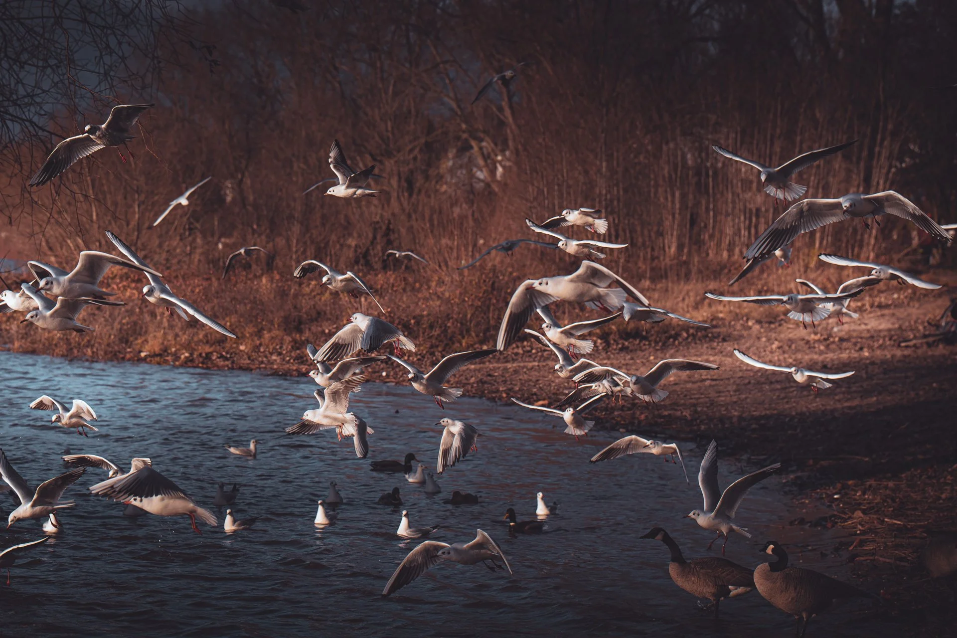 timobeier_photography_web-2756.jpg