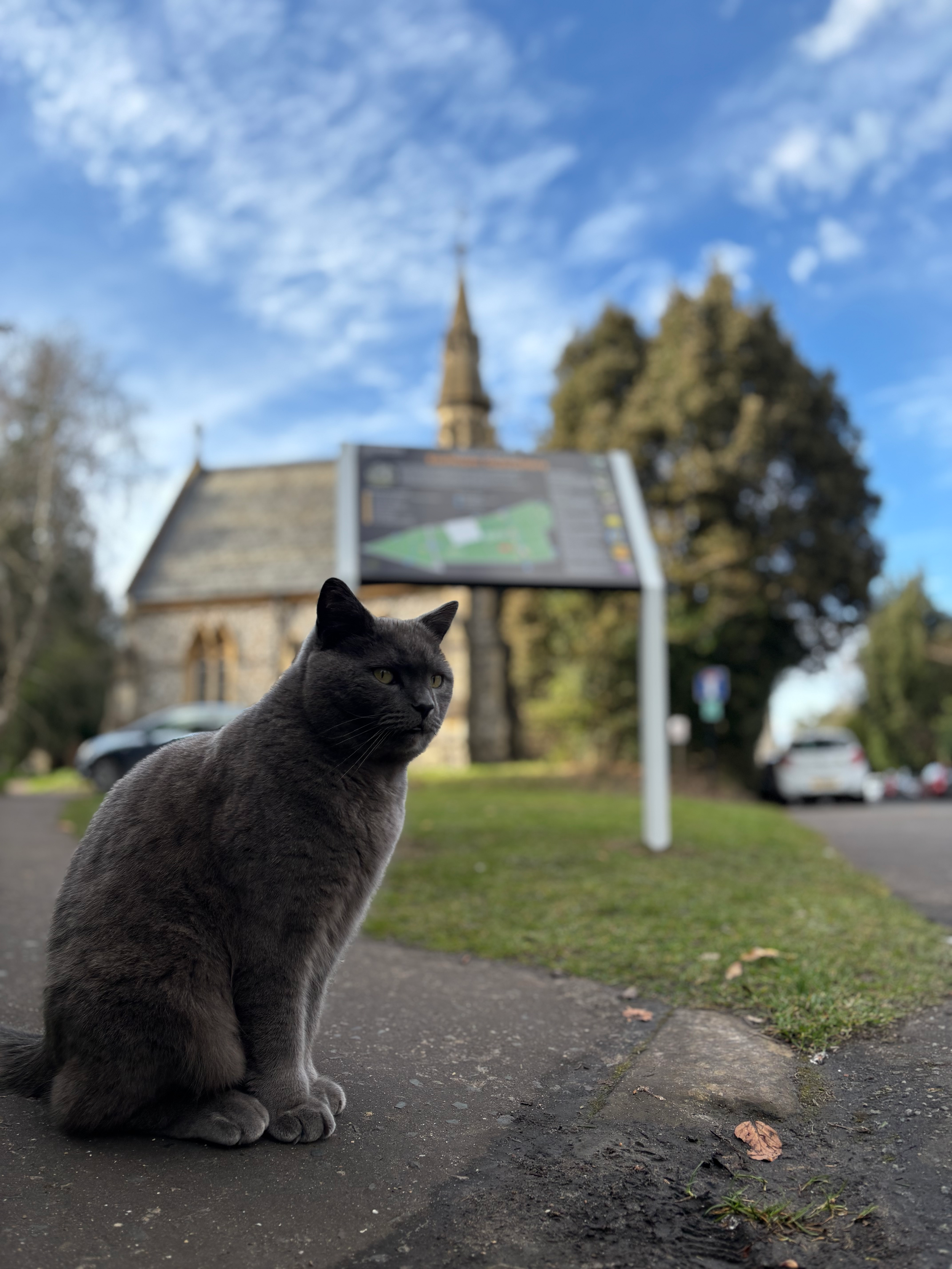 Earlham Cemetery Norwich and cat.png