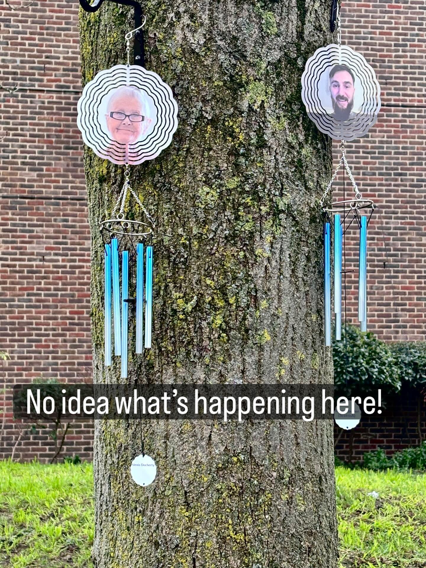 No idea what&rsquo;s this is but like the vibe.