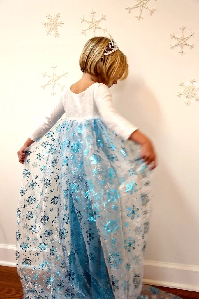 Elsa Dress for Christmas