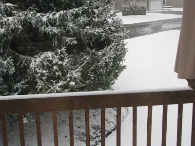 I wish I was joking.