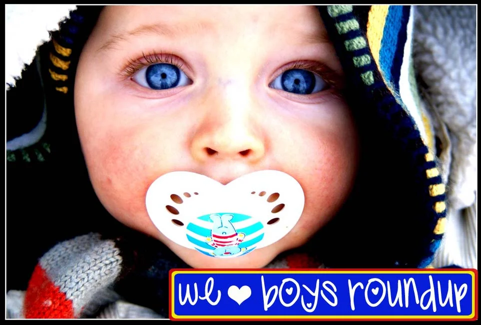 GUEST POST: Little Boy Roundup by Shannon