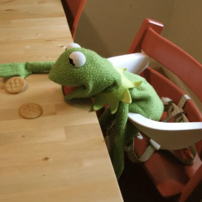 The other member of our family (hint: he's green)