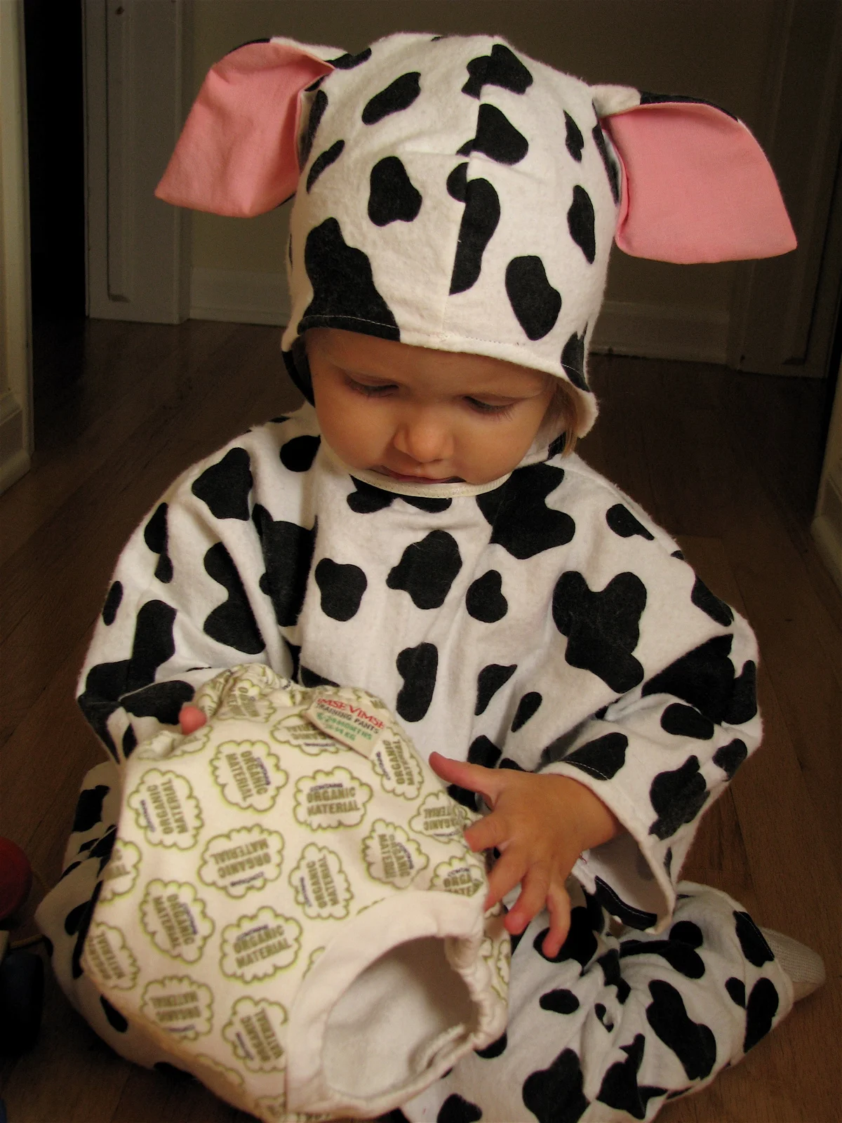 Last minute cow.
