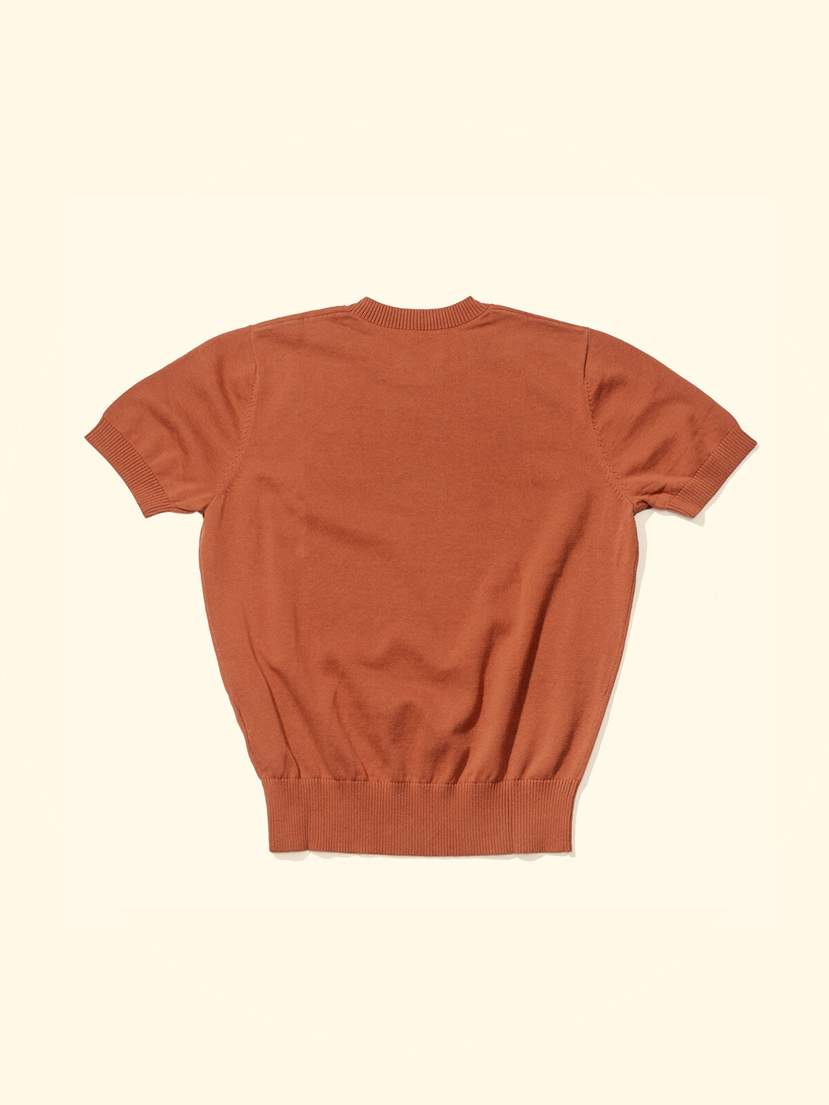 TA_tshirt_rust_1.jpg