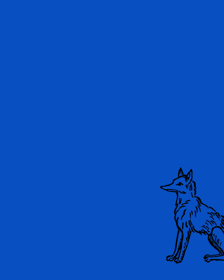 Introducing Silver Fox