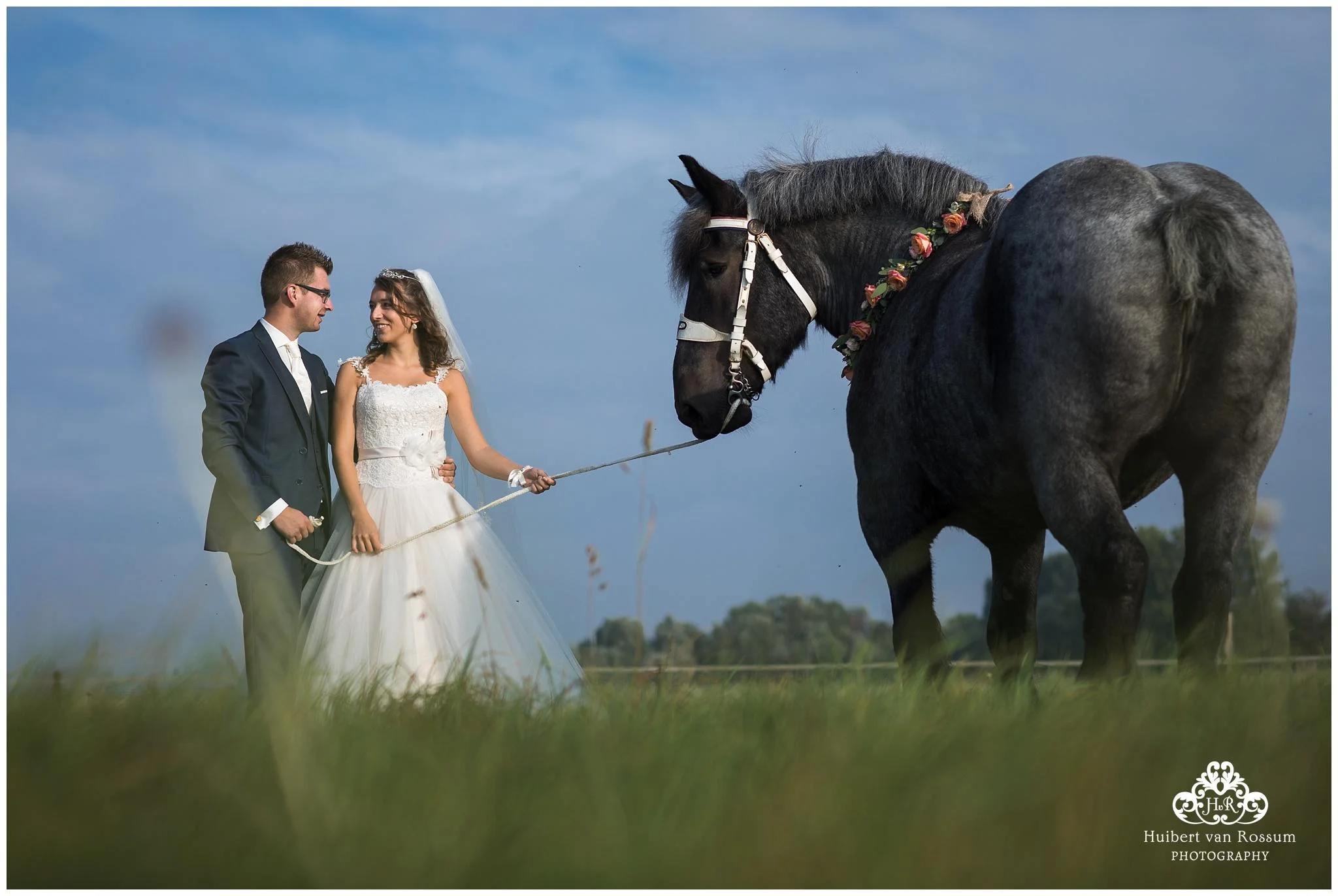 Bruidsreportage met Belgisch trekpaard in Zeeuws-Vlaanderen