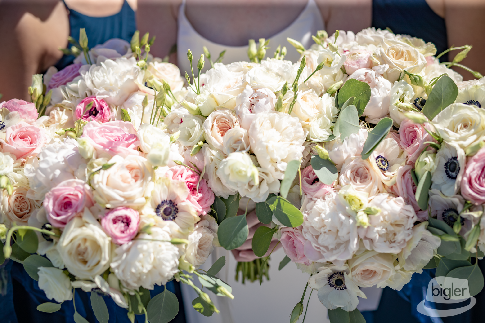 20190518 - Caroline and Dave WEB - 154055 -0589.png