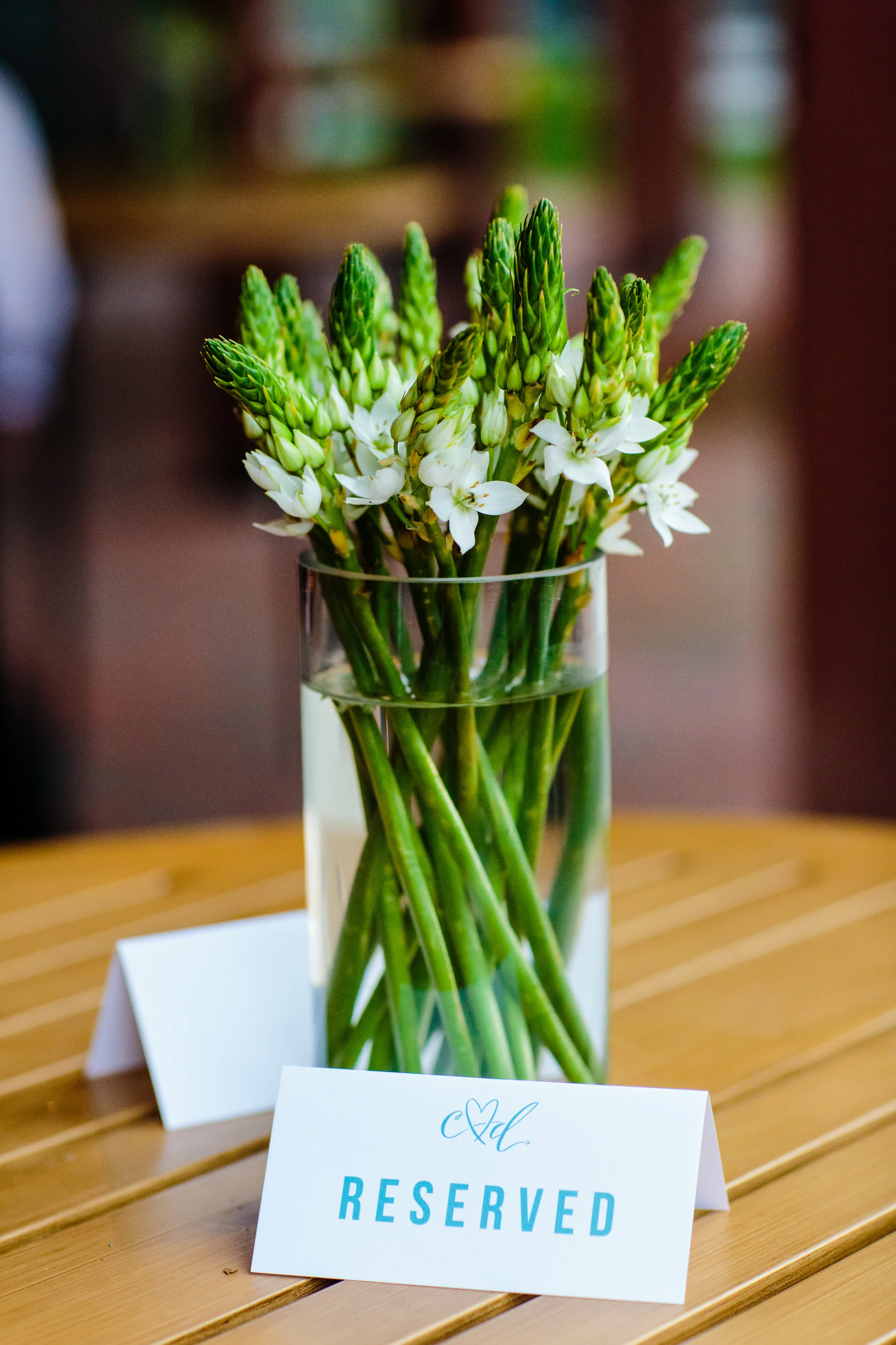 Tracey Buyce Photography052.jpg