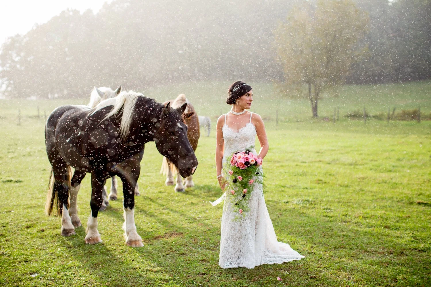 Tracey+Buyce+Photography-260.jpg