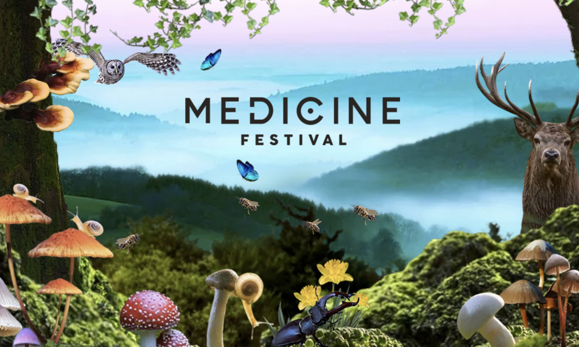 Medicine Festival