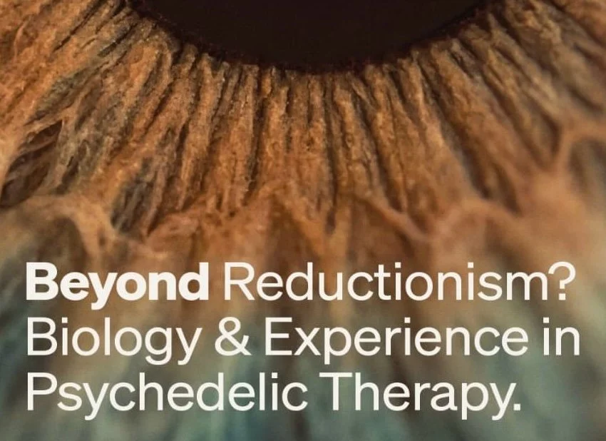 Immersive Frequencies & Contemplation Sound Meditation with MIND Foundation