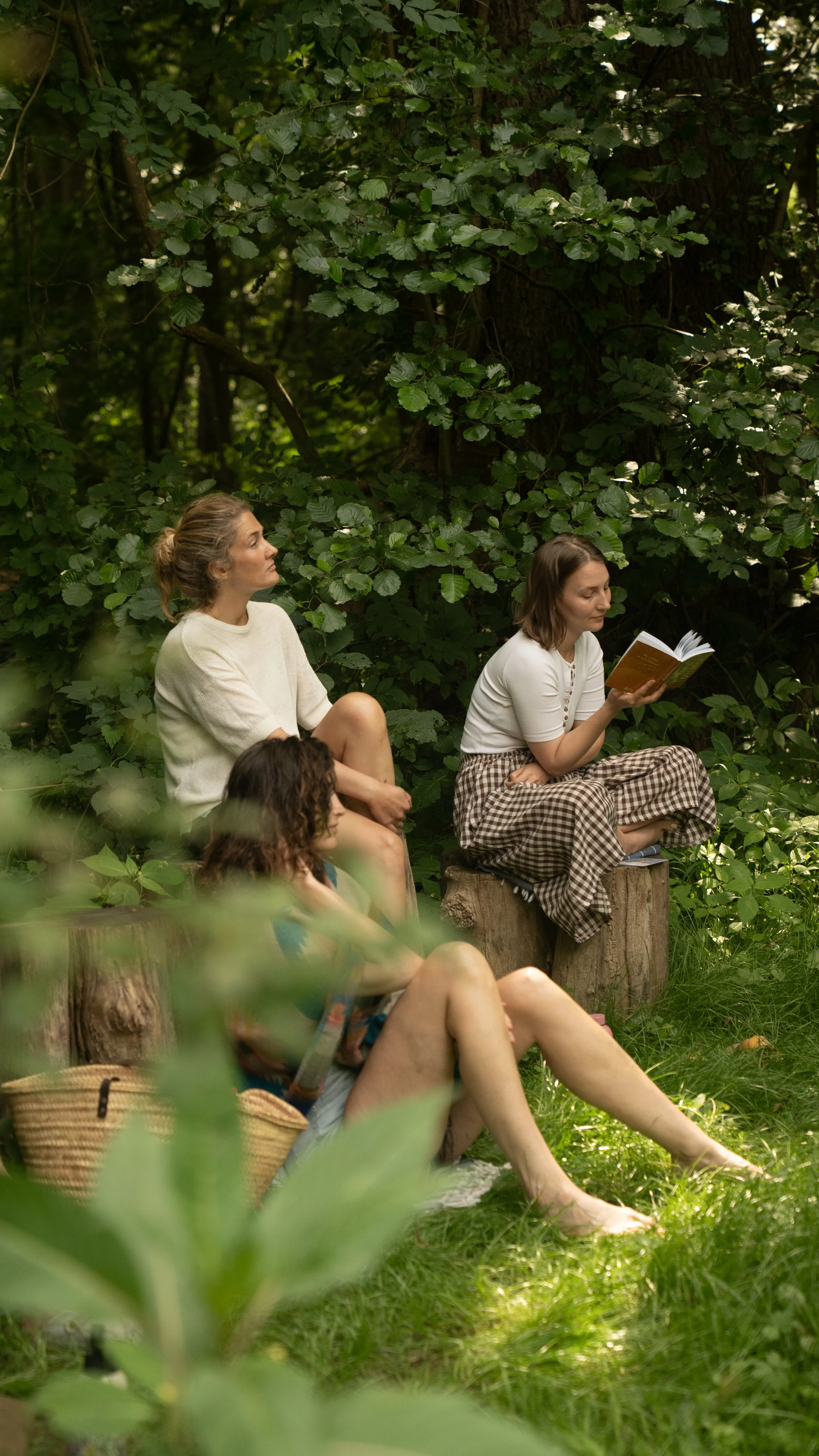 Nature outside Berlin.jpg
